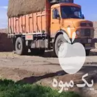 فروش غذای دامی کاه نیشکر در نگین شهر در گروه خوراک دام و طیور در یکمیوه