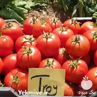 فروش بذر گوجه فرنگی تروی تایلند در تهران در گروه خرید و فروش بذر گوجه در یکمیوه