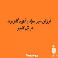 قیمت خرید سیر سیاه قهوه گانودرما در شیراز در گروه خرید و فروش سیر در یکمیوه