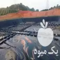 جشنواره فروش پوشش های استخر ورق ژئوممبران در آستارا در گروه خرید و فروش ژئوممبران و ژئوتکستایل در یکمیوه