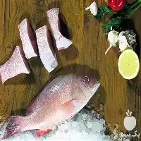 فروش بچه ماهی کپور و آمور در گروه خرید و فروش بچه ماهی در یکمیوه