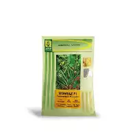 قیمت خرید بذر خیار فضای باز در گروه خرید و فروش بذر خیار در یکمیوه