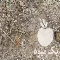 قیمت خرید کود مرغ گوشتی در آزادشهر در گروه خرید و فروش کود مرغی در یکمیوه