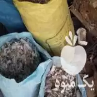 قیمت خرید کود کبوتر و کود مرغ در اصفهان در گروه خرید و فروش کود کبوتر در یکمیوه