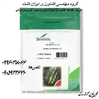 قیمت خرید بذر هندوانه b 32 در بوشهر در گروه خرید و فروش بذر هندوانه در یکمیوه