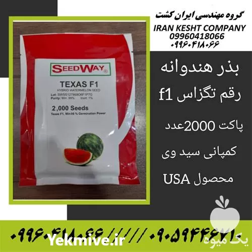 قیمت خرید بذر هندوانه خطی تگزاس در ساری در گروه خرید و فروش بذر هندوانه در یکمیوه -عکس1