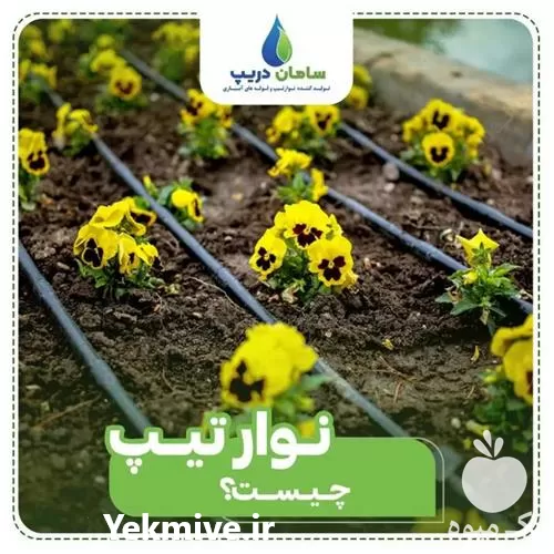قیمت خرید مرکز پخش نوار آبیاری در تهران در گروه خرید و فروش دستگاه آبیاری در یکمیوه -عکس1