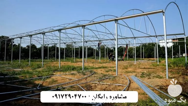 ساخت انواع گلخانه در کرمان  در گروه سازنده در یکمیوه -عکس1