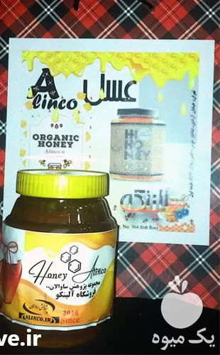 فروش خرید عسل با کیفیت در گروه خرید و فروش زنبورعسل در یکمیوه -عکس1