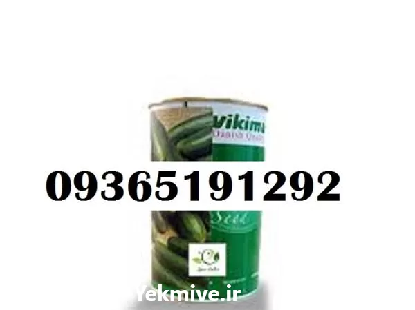 قیمت خرید بذر خیار ویکتوریا در کرمان  در گروه خرید و فروش بذر خیار در یکمیوه -عکس1