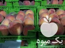 صادرات محصولات کشاورزی به اقلیم کردستان در تهران در گروه حق العمل کاری محصولات کشاورزی در یکمیوه -عکس1