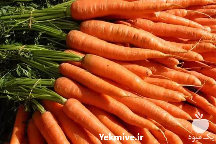 قیمت خرید بذر هویج ویلمورین کریستو در همدان در گروه خرید و فروش بذر هویج در یکمیوه -عکس1