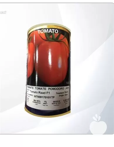 قیمت خرید بذر گوجه فرنگی رعد در ارومیه در گروه خرید و فروش بذر گوجه در یکمیوه -عکس1