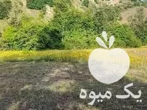 علف تراشی نوین گلدشت در گروه خدمات باغبانی در یکمیوه -عکس1