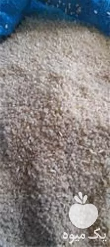 قیمت خرید عمده برنج خرما در اهواز در گروه خرید و فروش خرما در یکمیوه -عکس1