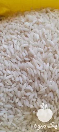 قیمت خرید انواع خرما برنج در گروه خرید و فروش برنج در یکمیوه -عکس1