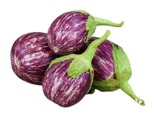 قیمت خرید بذر بادمجان مینیاتوری بنفش در ارومیه در گروه خرید و فروش بذر بادمجان در یکمیوه -عکس1