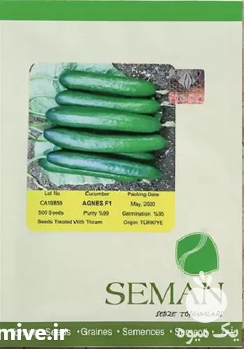 فروش بذر خیار اگنس در تهران در گروه خرید و فروش بذر خیار در یکمیوه -عکس1
