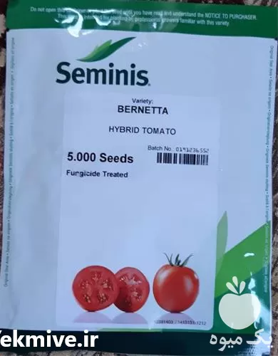 قیمت خرید بذر گوجه فرنگی برنتا در شیراز در گروه خرید و فروش بذر گوجه در یکمیوه -عکس1