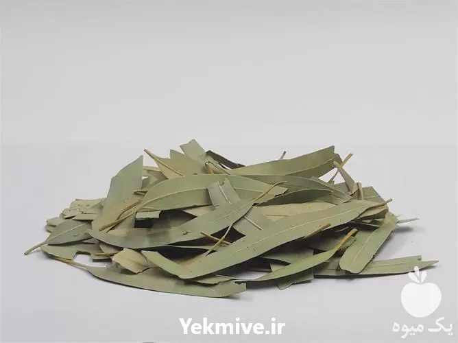 قیمت خرید قیمت اوکالیپتوس برگ در تهران در گروه خرید و فروش گیاهان دارویی در یکمیوه -عکس1