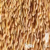 فروش عرضه بذر گندم با مناسب در گروه خرید و فروش بذر گندم در یکمیوه