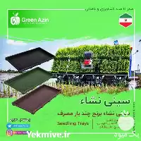 قیمت خرید عمده سینی علوفه هیدروپونیک در ساری در گروه خرید و فروش نشا در یکمیوه