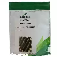 فروش بذر خیار ویکتور سیمینس در مشهد در گروه خرید و فروش بذر خیار در یکمیوه