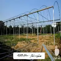 ساخت انواع گلخانه در کرمان  در گروه سازنده در یکمیوه