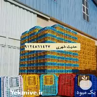 قیمت خرید قفس حمل بلدرچین در قزوین در گروه خرید و فروش انواع سبد در یکمیوه