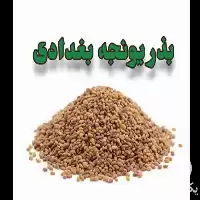 قیمت خرید بذر یونجه بغدادی در بوشهر در گروه خرید و فروش بذر یونجه در یکمیوه
