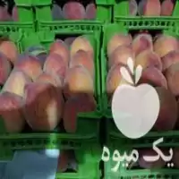 صادرات محصولات کشاورزی به اقلیم کردستان در تهران در گروه حق العمل کاری محصولات کشاورزی در یکمیوه