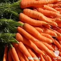قیمت خرید بذر هویج ویلمورین کریستو در همدان در گروه خرید و فروش بذر هویج در یکمیوه
