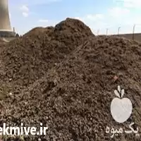 کود مرغی پودری کود مرغی در اصفهان در گروه خرید و فروش کود مرغی در یکمیوه