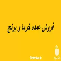 فروش خرمای کبکاب در اهواز در گروه خرید و فروش خرما در یکمیوه