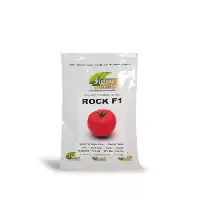 آگهی مشابه قیمت خرید بذر گوجه فرنگی راک در تهران در گروه خرید و فروش بذر گوجه در یکمیوه