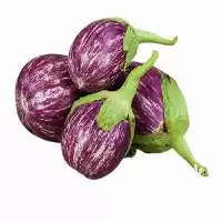 قیمت خرید بذر بادمجان مینیاتوری بنفش در ارومیه در گروه خرید و فروش بذر بادمجان در یکمیوه