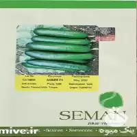 فروش بذر خیار اگنس در تهران در گروه خرید و فروش بذر خیار در یکمیوه