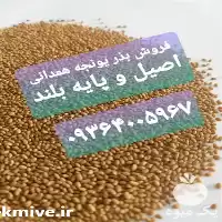 قیمت خرید بذر یونجه همدانی اصیل در کرمانشاه در گروه خرید و فروش بذر یونجه در یکمیوه
