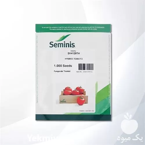 قیمت خرید عرضه بذر گوجه ی در تهران در گروه خرید و فروش بذر گوجه در یکمیوه -عکس1