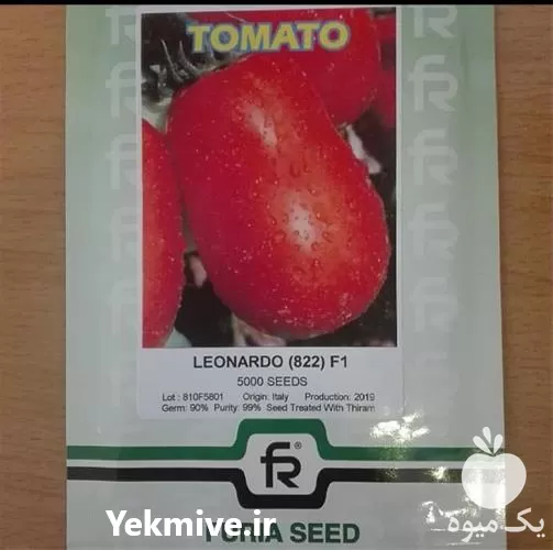 قیمت خرید بذر گوجه فرنگی پرمحصول در تهران در گروه خرید و فروش بذر گوجه در یکمیوه -عکس1