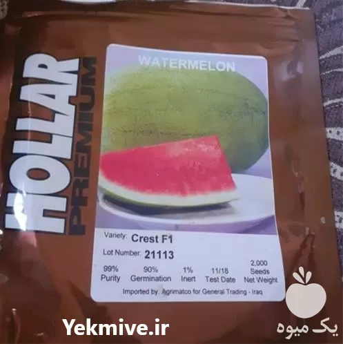 فروش بذر هندوانه چارلستون کرست بذر در قم در گروه خرید و فروش بذر هندوانه در یکمیوه -عکس1