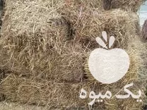قیمت خرید کاه کلش گندم زیر در گروه خوراک دام و طیور در یکمیوه -عکس1