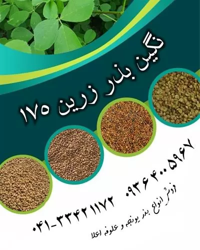قیمت خرید بذر یونجه دیم در رشت در گروه خرید و فروش بذر یونجه در یکمیوه -عکس1