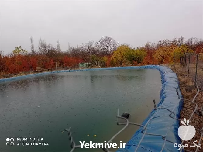 فروش اجرای صفر تا صد استخر در تبریز در گروه خرید و فروش ژئوممبران و ژئوتکستایل در یکمیوه -عکس1