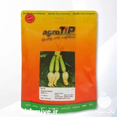 فروش بذر کدو زینا در تهران در گروه خرید و فروش بذر کدو در یکمیوه -عکس1