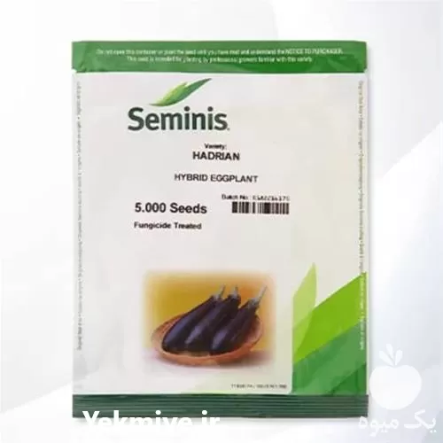 فروش بذر بادمجان شانتال با کیفیت در تهران در گروه خرید و فروش بذر بادمجان در یکمیوه -عکس1