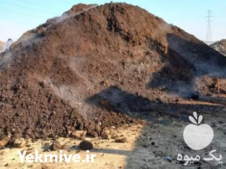 فروش کود گاوی پوسیده در تهران در گروه خرید و فروش کود گاوی در یکمیوه -عکس1