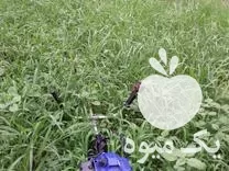 کار با دستگاه علف در صومعه سرا در گروه خدمات باغبانی در یکمیوه -عکس1