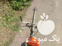 خدمات علفزنی بریدن درخت در لنگرود در گروه خدمات باغبانی در یکمیوه -عکس1