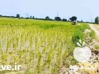 حفر چاه مته ای در آق قلا در گروه حفر چاه در یکمیوه -عکس1